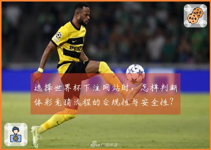 选择世界杯下注网站时，怎样判断体彩竞猜流程的合规性与安全性？