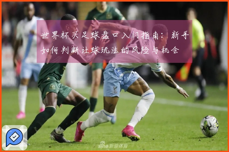 世界杯买足球盘口入门指南：新手如何判断让球玩法的风险与机会