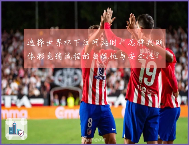 选择世界杯下注网站时，怎样判断体彩竞猜流程的合规性与安全性？